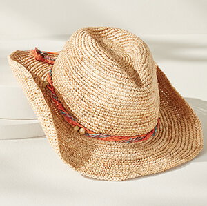 Made in<br>the Shade</br>