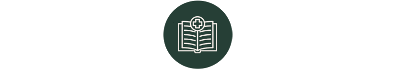 The study in brief
