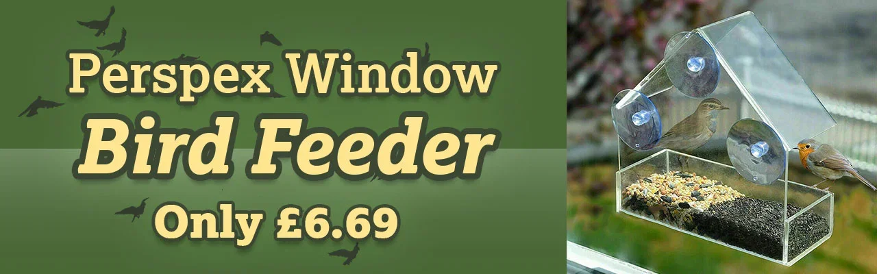 Redwood Perspex Window Bird Feeder - Only £6.69 delivered