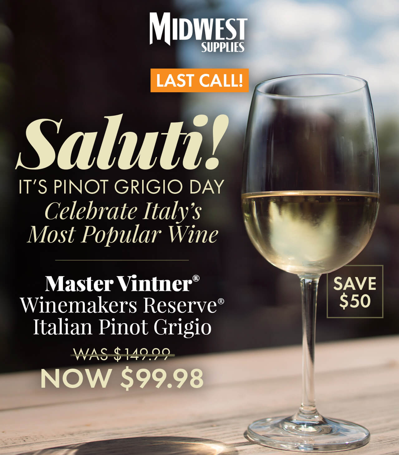 Last Call! Saluti! It’s Pinot Grigio Day. Celebrate Italy’s Most Popular Wine. Master Vintner® Winemaker's Reserve® Italian Pinot Grigio Wine Kit Was $149.99. Now $99.98. No promo code required. Save $50