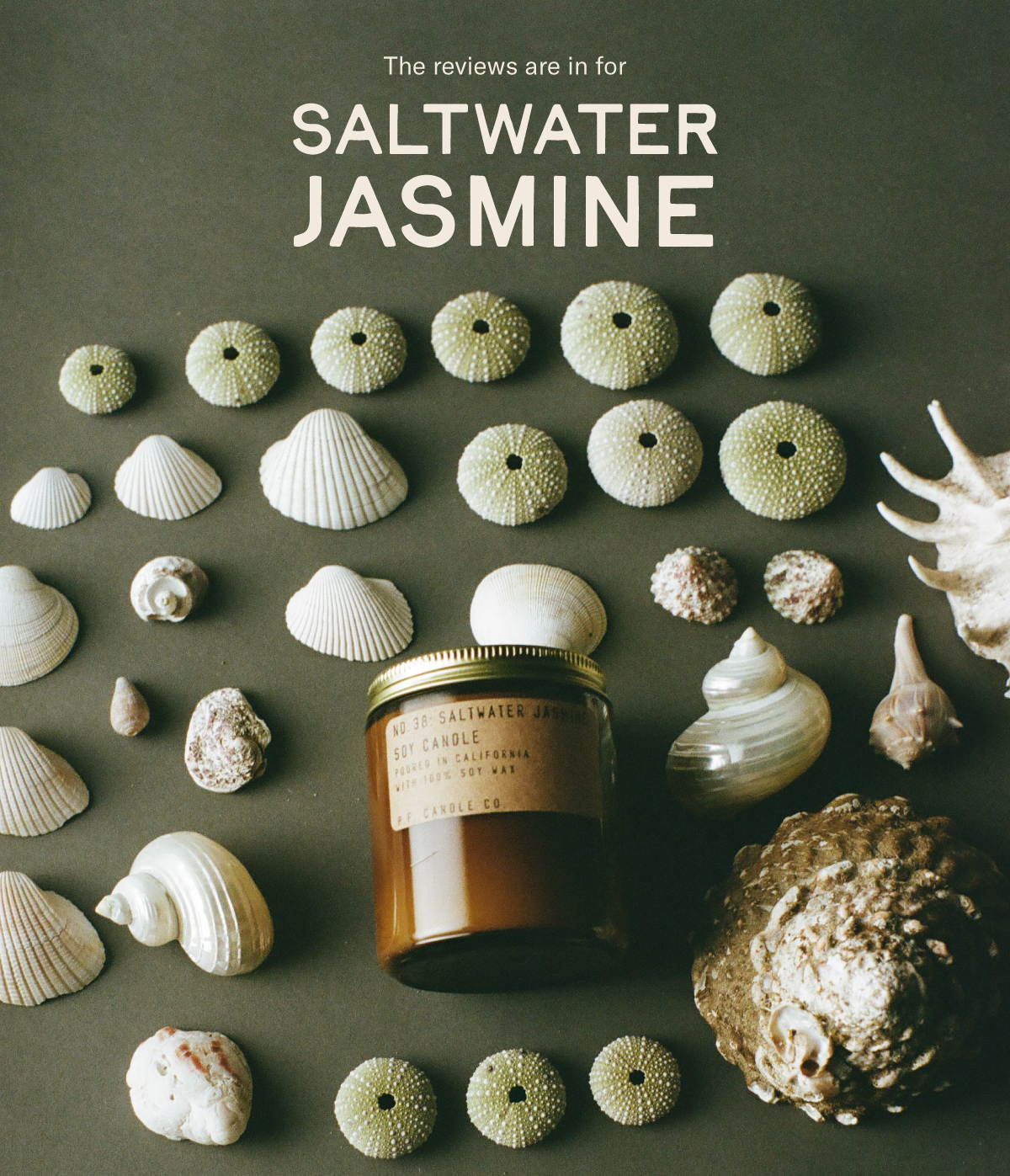 The reviews are in for SALTWATER JASMINE [photo of candle on display with shells]