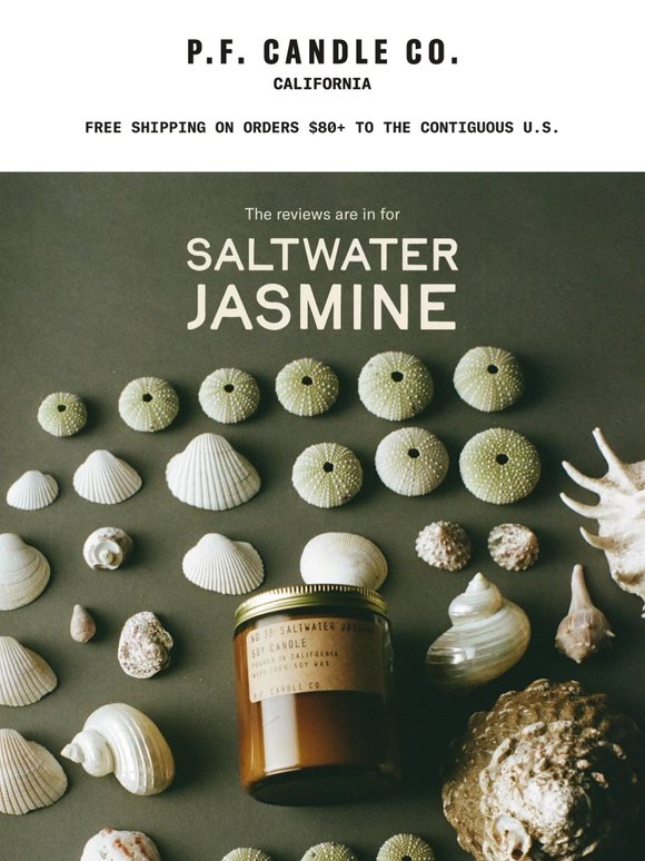 What people are saying about Saltwater Jasmine