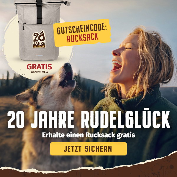 Hund mit Frau in der Natur