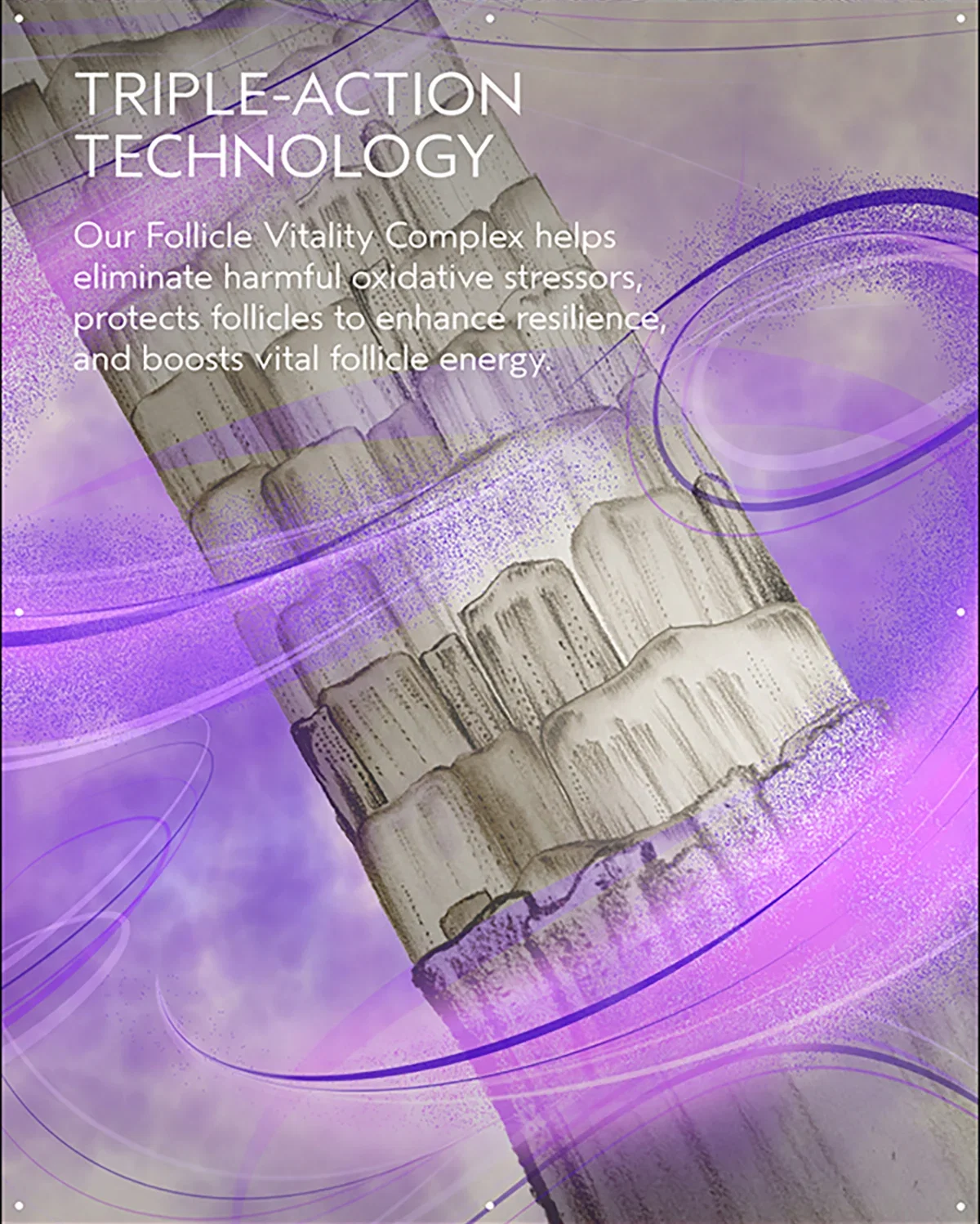 TRIPLE-ACTION TECHNOLOGY | Our Follicle Vitality Complex helps eliminate harmful oxidative stressors, protects follicles to enhance resilience, and boosts vital follicle energy.