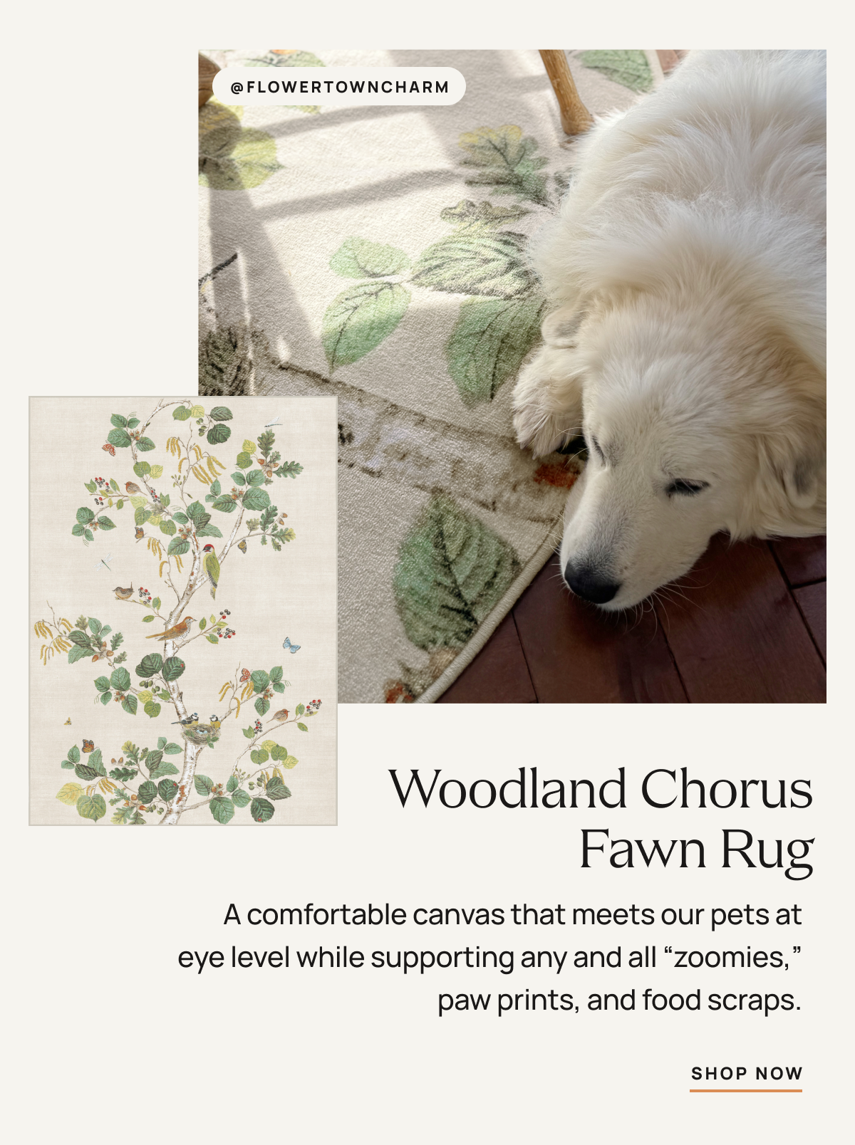 Woodland Chorus Fawn Rug