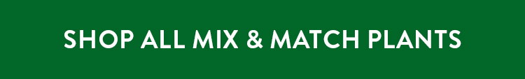 Mix and Match Plants