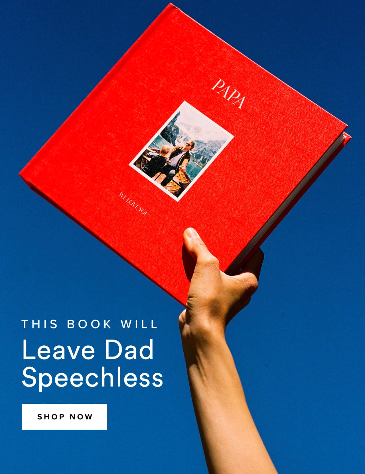 This book will leave dad speechless