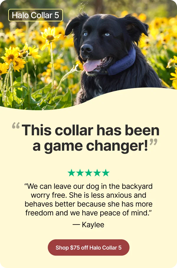 Save $75 on Halo Collar 5 and get pinpoint GPS accuracy, an app dog owners love, and a collar that exceeded every expectation. 