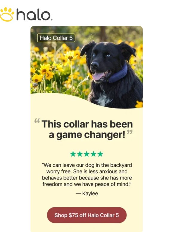 This Halo customer said it best.