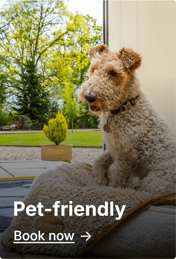 Pet-friendly