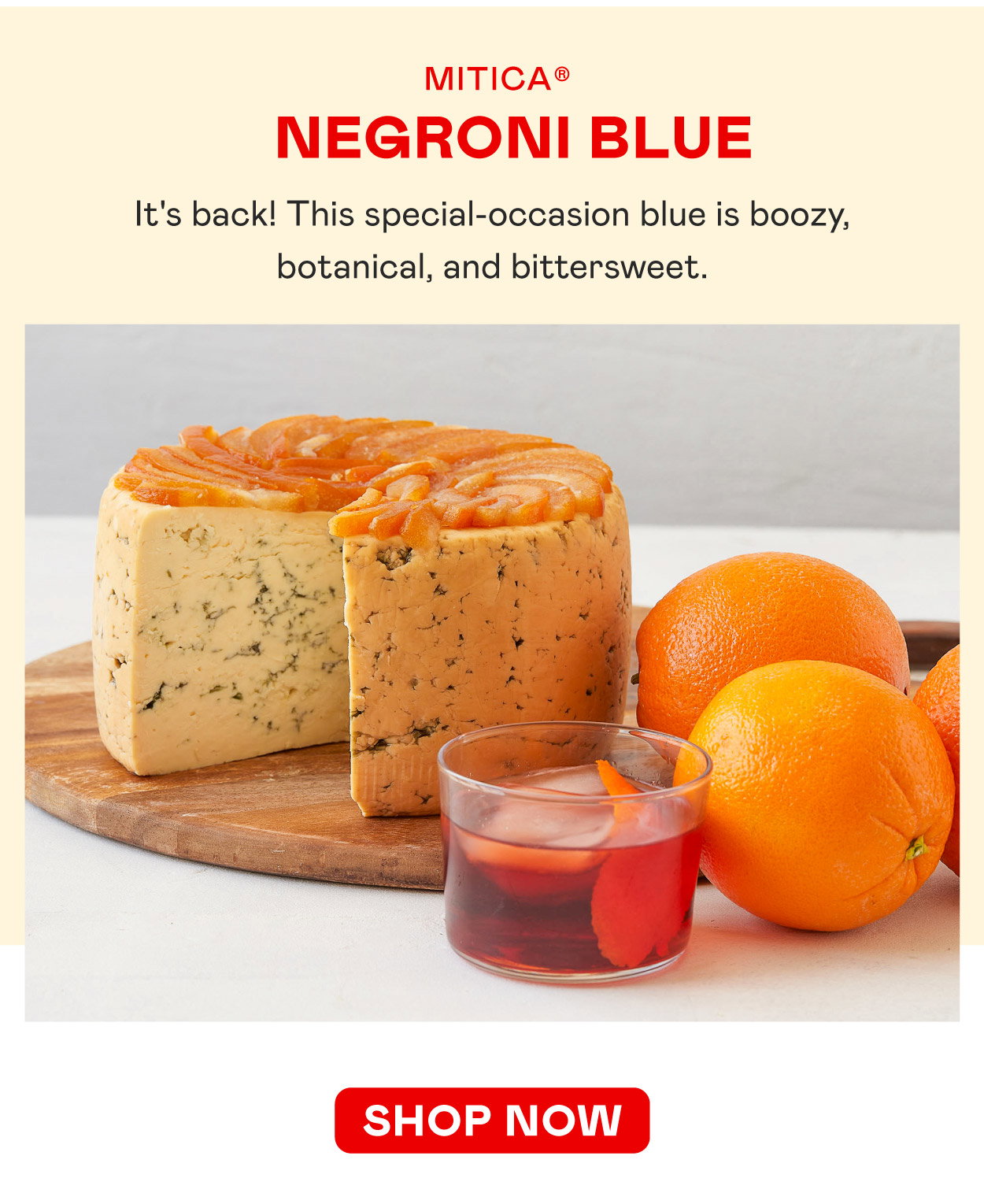 Mitica Negroni Blue​
