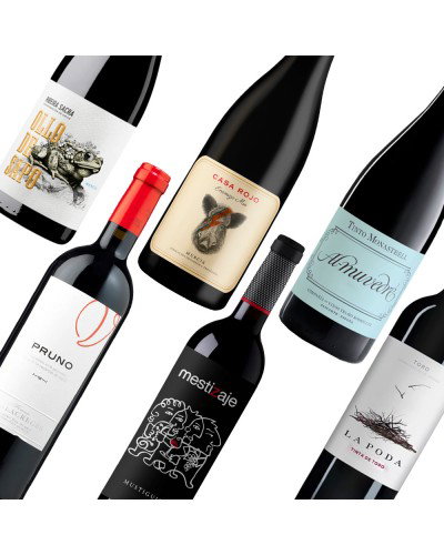 PACK CATA Uvas Tintas de España