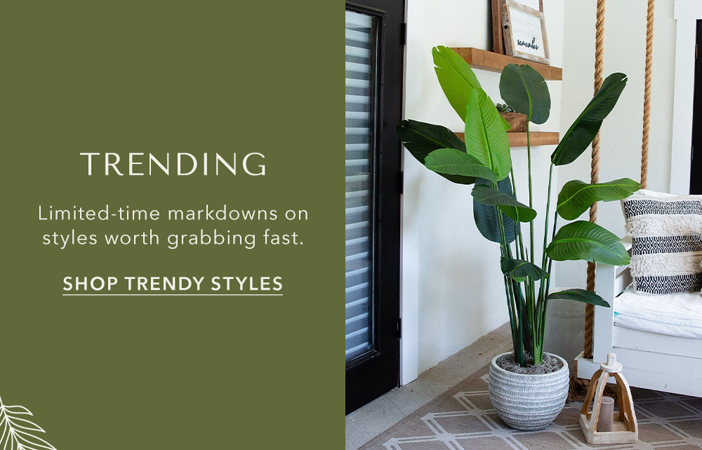 Shop Trending Styles