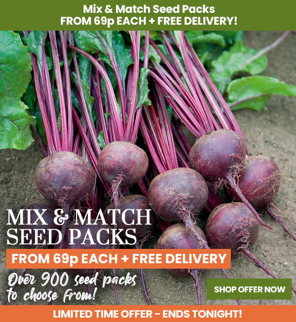 Seed Mix & Match