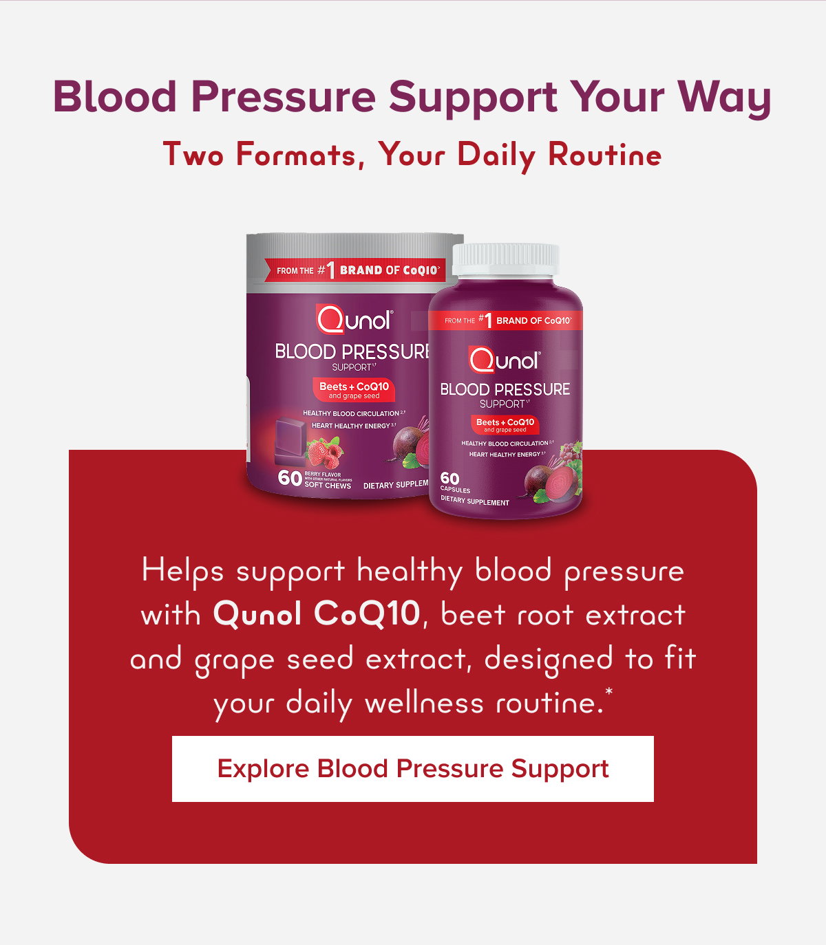 Explore Blood Pressure Support