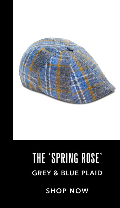 The 'Spring Rose' Grey & Blue Plaid Shop now
