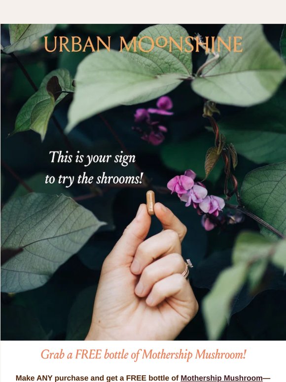 FREE Mushrooms for you! 🍄