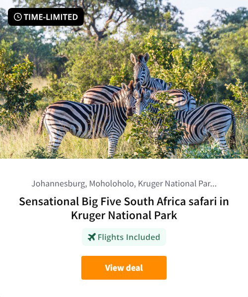 Sensational Big Five South Africa safari in Kruger National Park