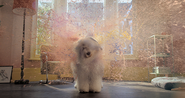 Dulux TV ad - Life is what you paint it