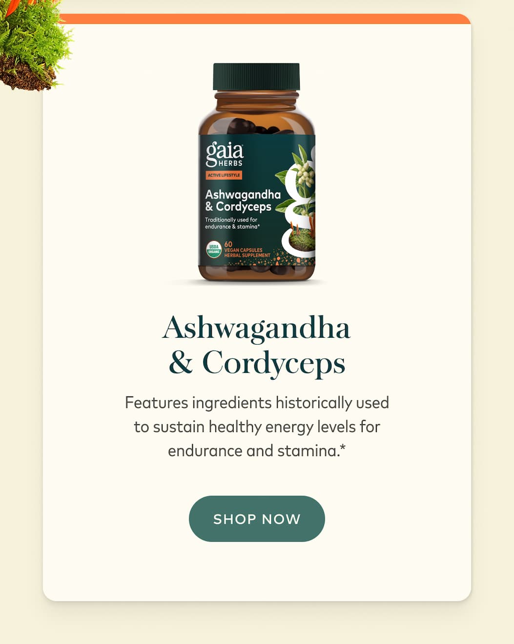 Ashwagandha & Cordyceps