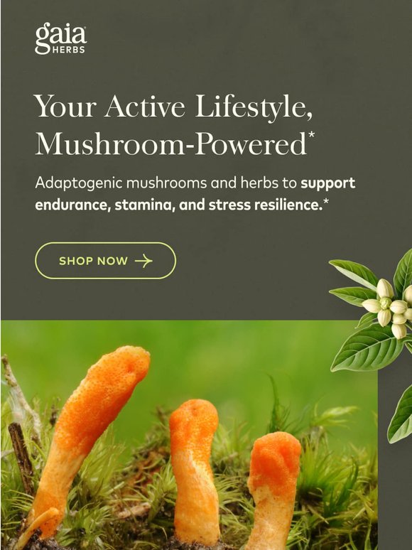Energy Support with Cordyceps*