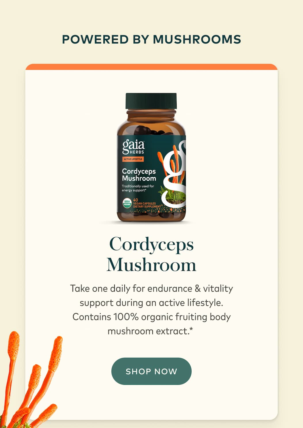 Cordyceps Mushroom