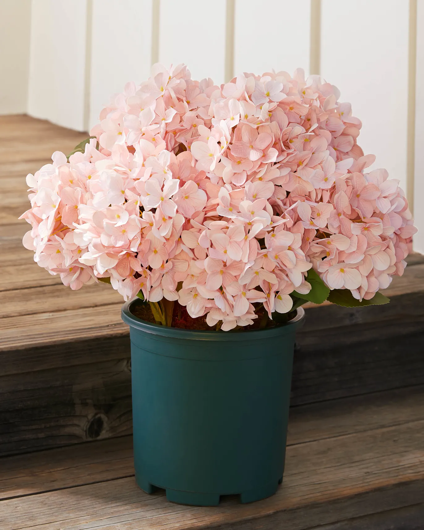 Outdoor Pink Hydrangea Harmony Pot Filler