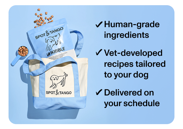 ✓ Human-grade ingredients  ✓ Vet-developed recipes tailored to your dog  ✓ Delivered on your schedule