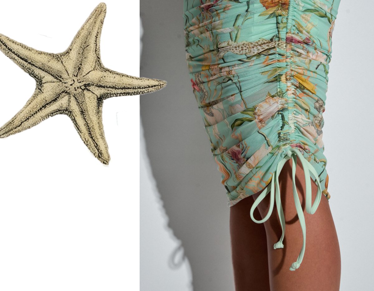 A close-up of a floral dress with ruching and a starfish illustration beside it.