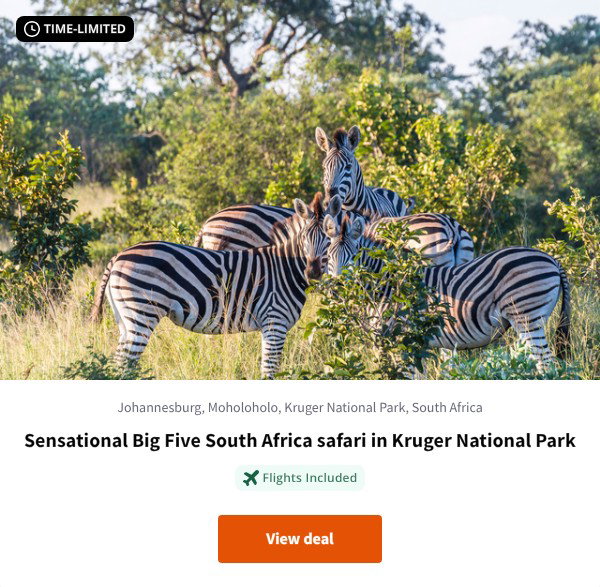 Sensational Big Five South Africa safari in Kruger National Park