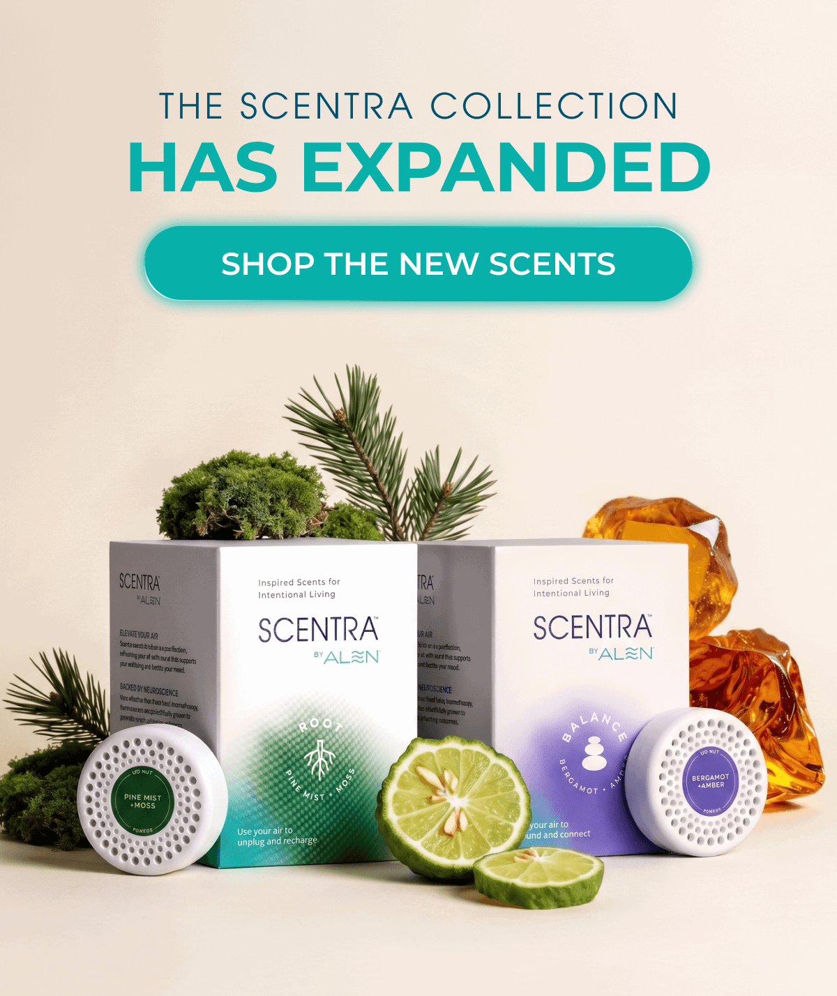 The Scentra Collection is Now Complete