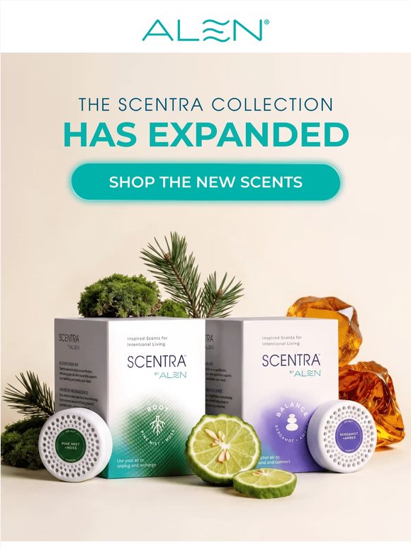 Meet the New Scents: Balance & Root