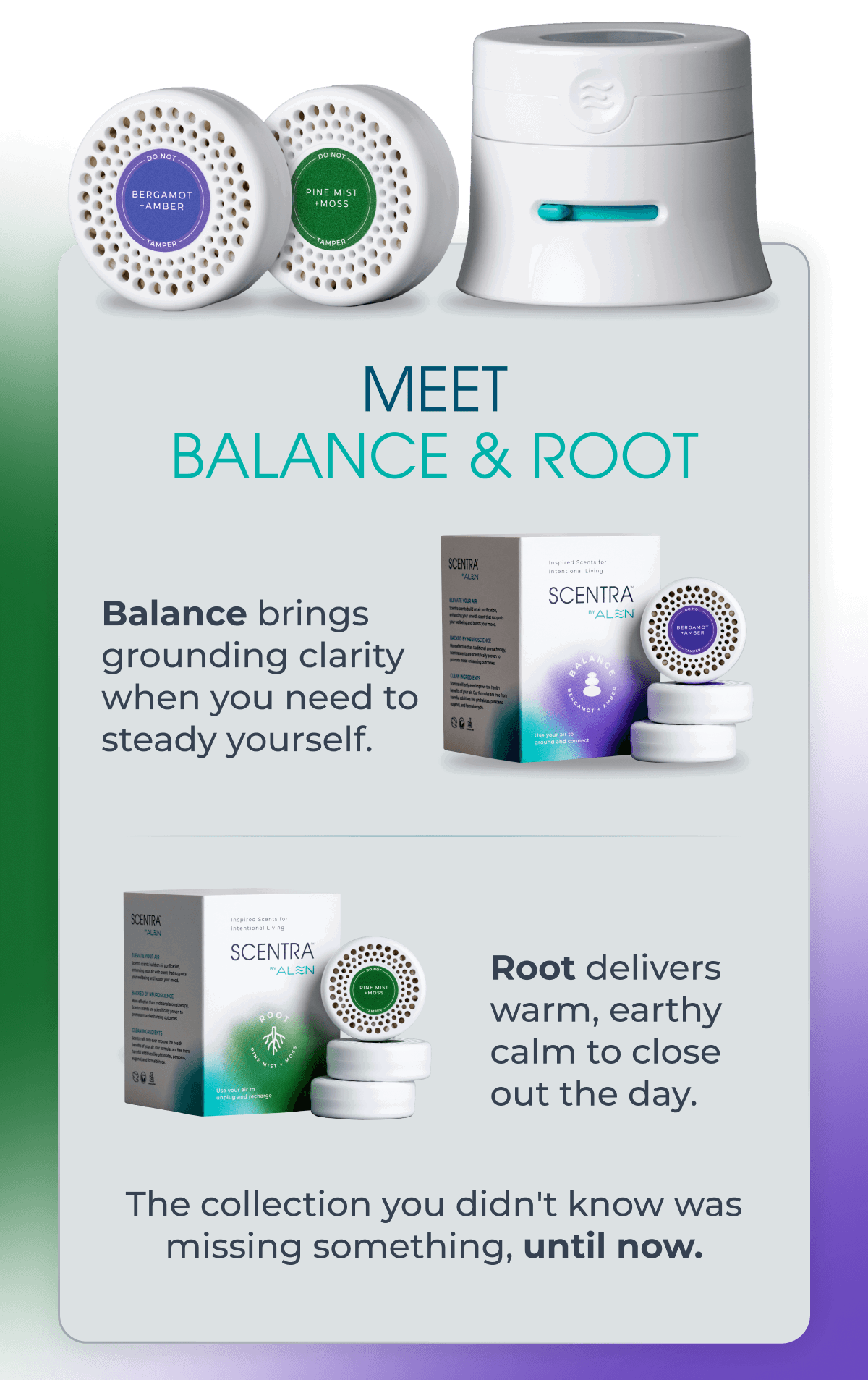 Meet Balance & Root