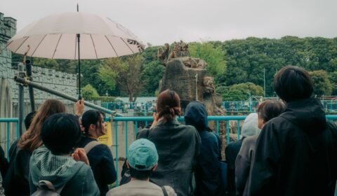 Japan arrests Americans over stunt at baby monkey Punch’s zoo