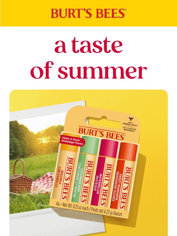 4-Packs: Garden Party + Party Pack