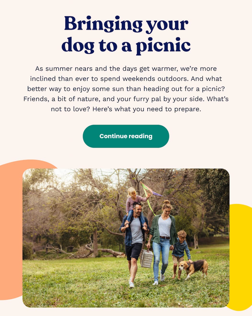 Bringing your dog to a picnic