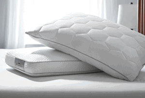 All Supportive Pillows