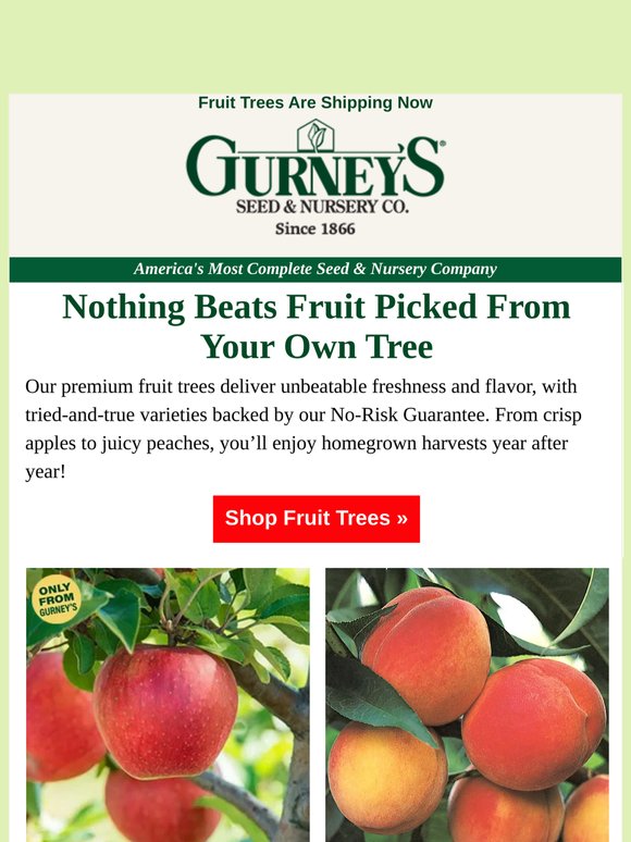 Get 20% off our favorite fruit trees.