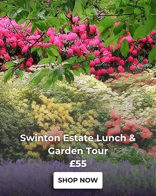 Swinton Estate Lunch & Garden Tour