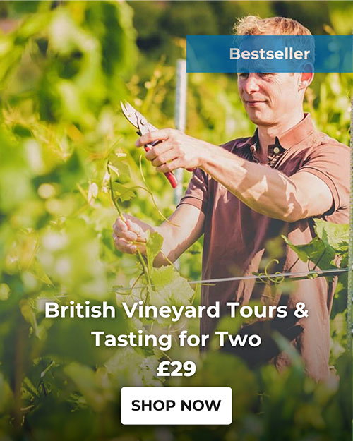 British Vineyard Tours & Tastings for Two