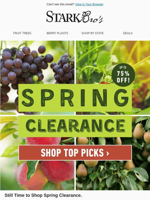 🛒🌳 Have You Checked Out Spring Clearance Yet?