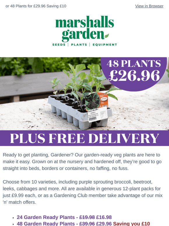 Mix 'n' Match Garden Ready Vegetables: 24 Plants for £16.98