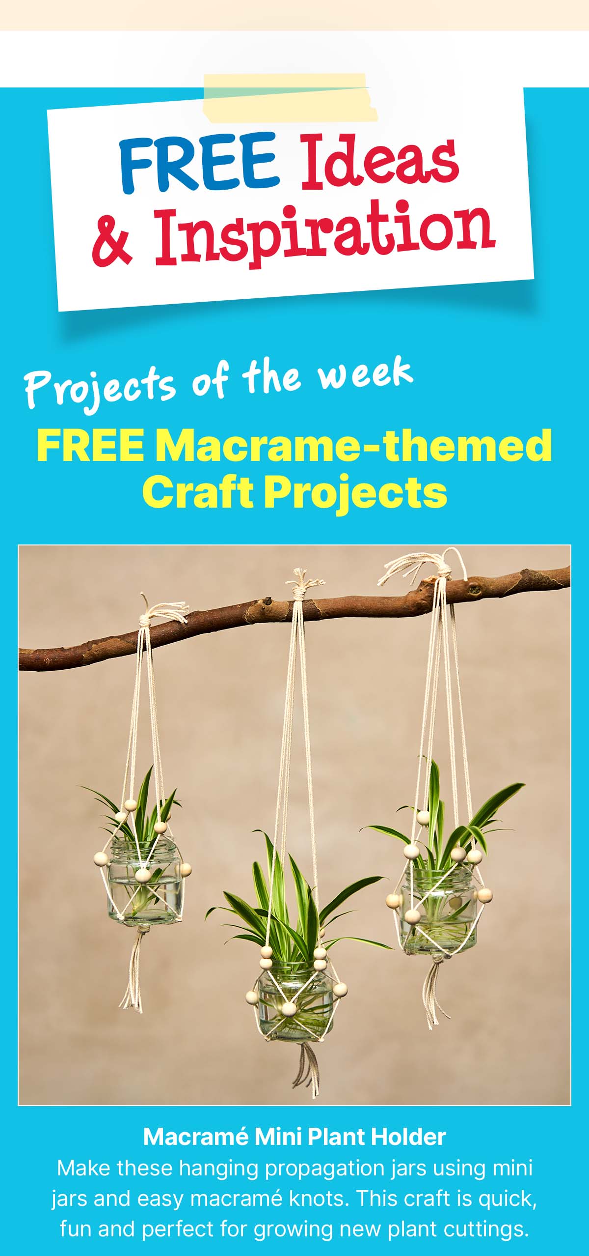 Macrame Jar Plant Holder
