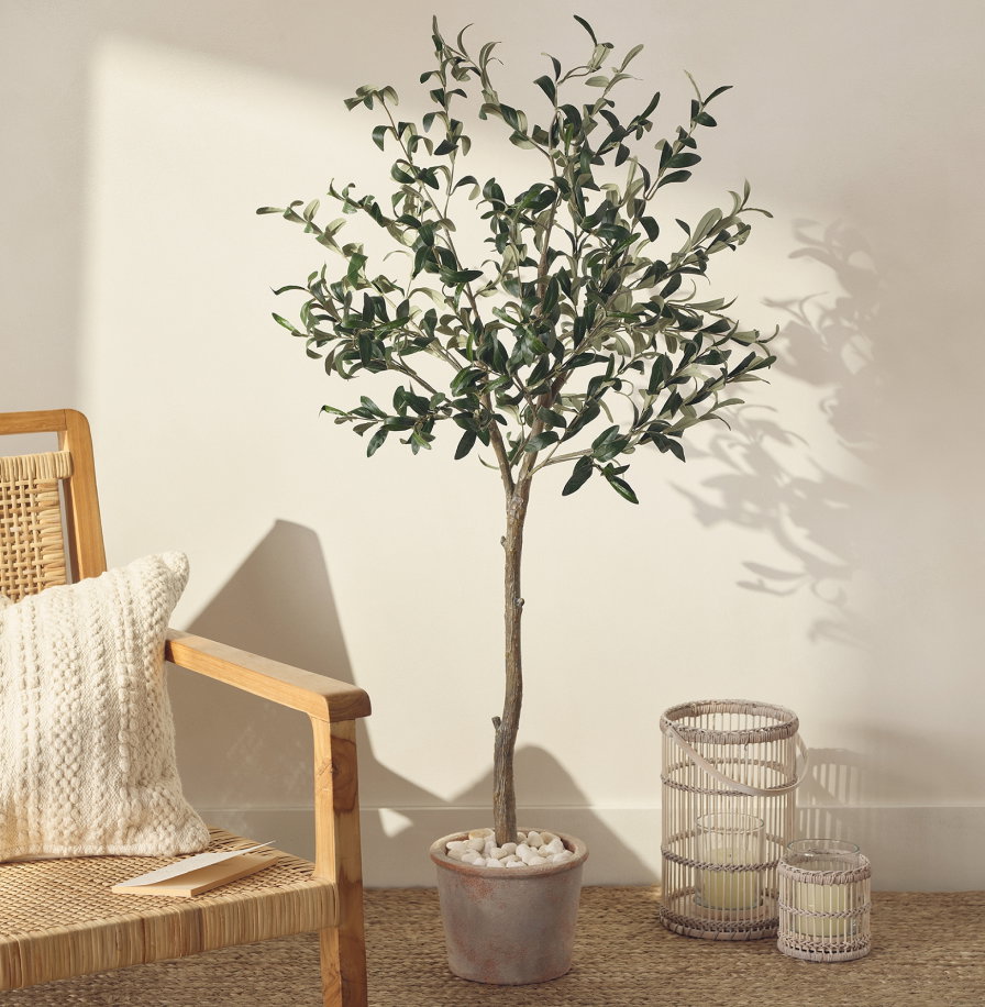 Olive Potted Tree