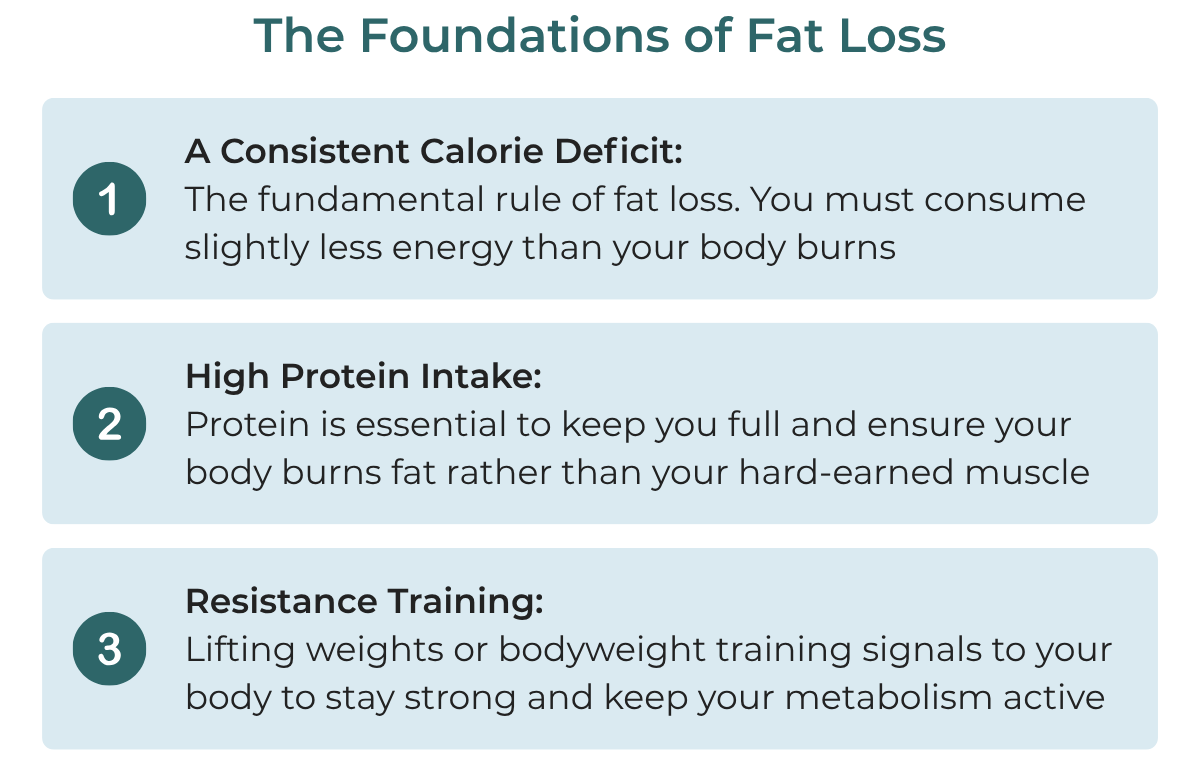 foundations of fat loss
