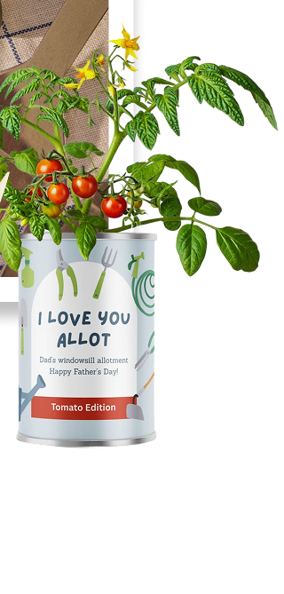 Father's Day Personalised Grow Your Own Vegetables Kit