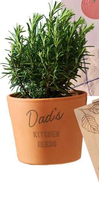 Engraved Personalised Father's Day Terracotta Plant Pot