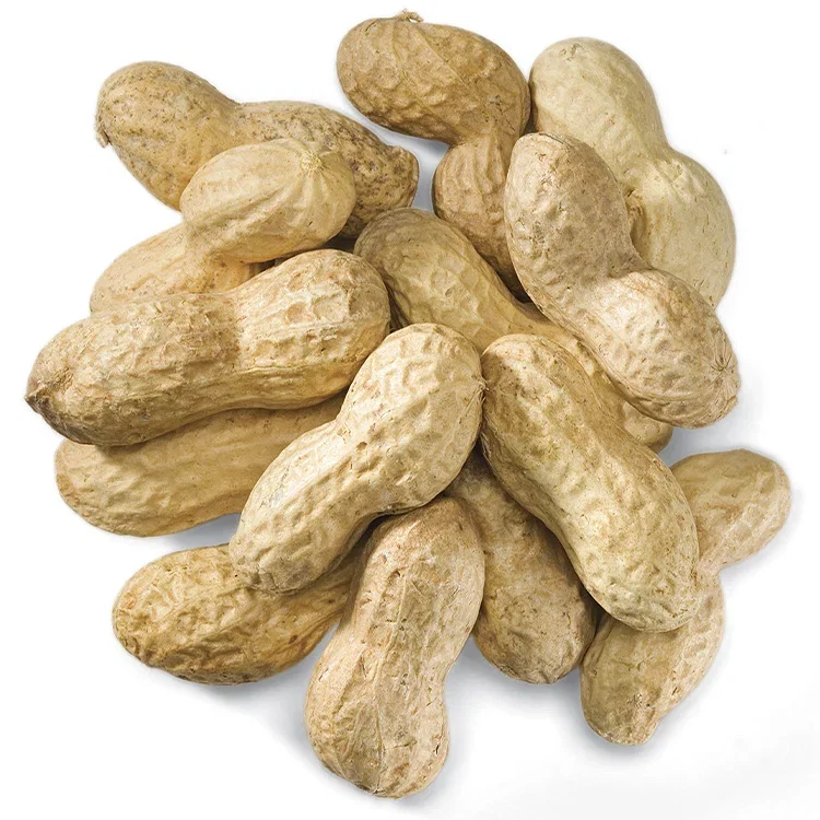 Image of Duncraft Peanuts In Shell Wild Bird Seed, 5-lb bag