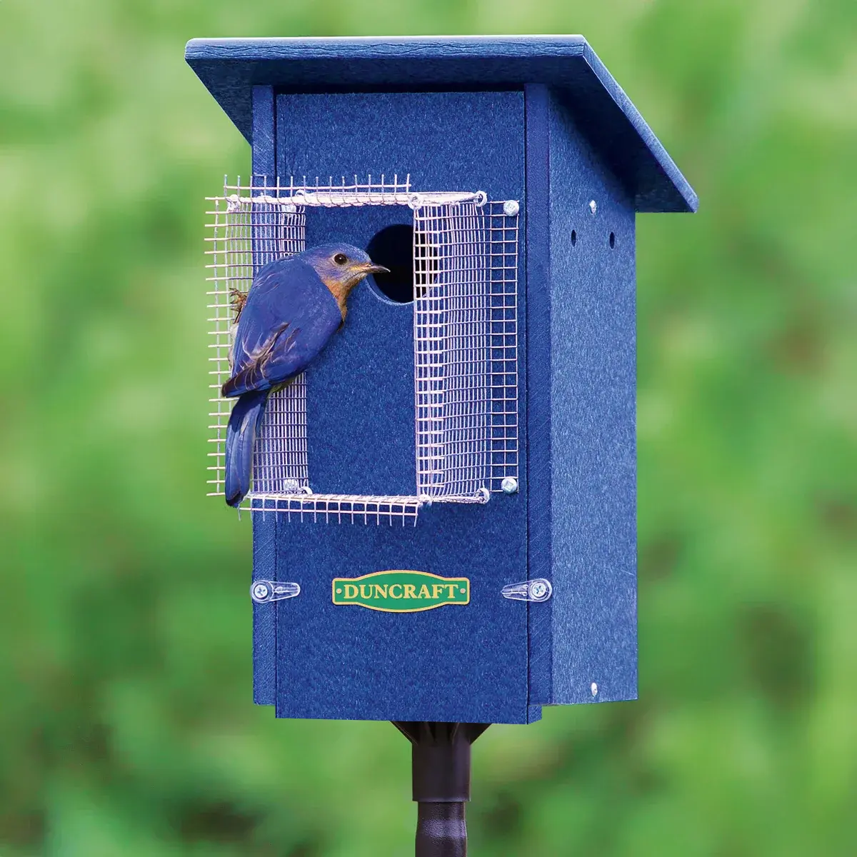 Image of Duncraft Bird-Safe® Bluebird House & Pole with Noel Guard