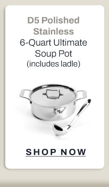 D5 Polished stainless 6 quart ultimate soup pot